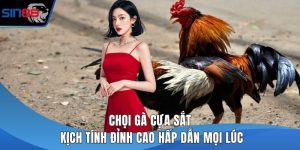 Chọi gà cựa sắt
