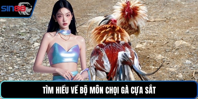 Tìm hiểu về bộ môn chọi gà cựa sắt